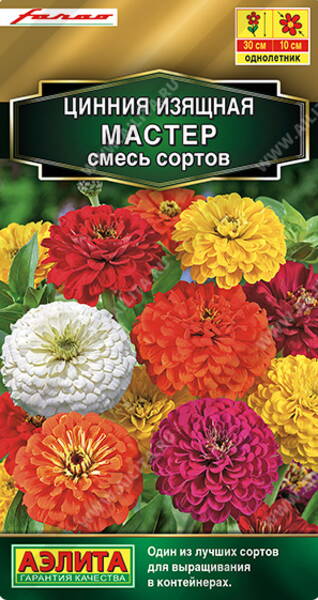 Zinnia "Master" (mix) 